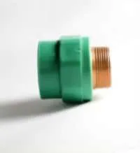 جلبة بسن خارجي 